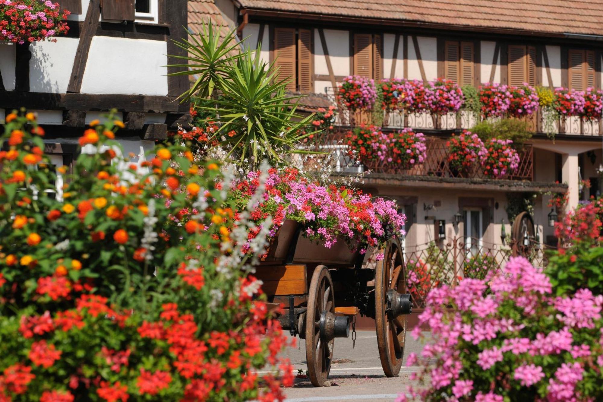 Gite Marcel Et Marianne Jardin Et Parking Privatifs Ebersheim Екстер'єр фото